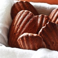 Chocolate Madeleines