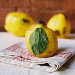 Quince Frangipane Tartlets