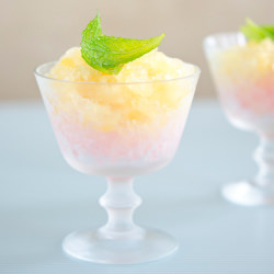 Orangeade & Rhubarb Granita