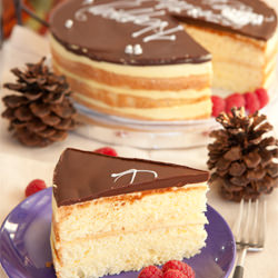 Happy Boston Cream Birthday