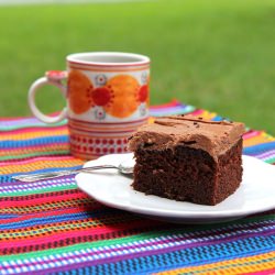 JoAnn’s Sassy Texas Chocolate Cake