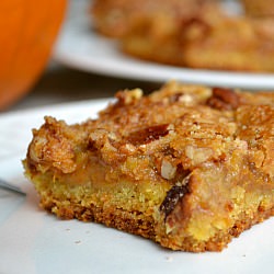 Pumpkin Cake Bars