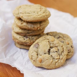 Chocolate Chip Butterscotch Pecan