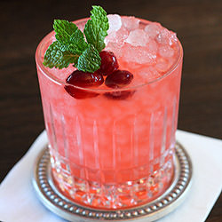 Cranberry Gin Fizz Cocktail