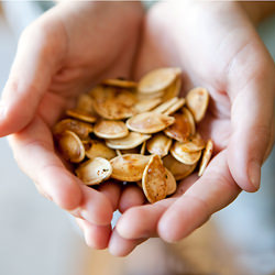 Toasted Pumpkin Seeds