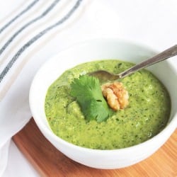 Cilantro, Walnut & Jalapeno Pesto