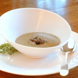Non Dairy Creamy Mushroom Soup