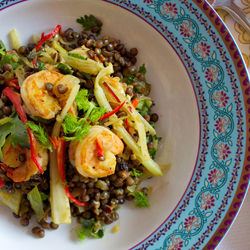 Indian Spice Prawn, Lentils & Fennel