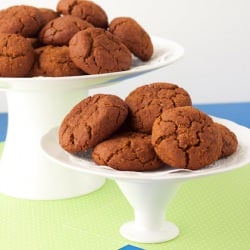Gluten-free + Vegan Gingersnaps