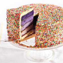 Purple Sprinkle Ombre Cake