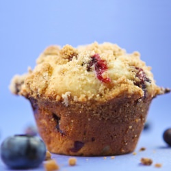 Blueberry Sour Cream Muffins