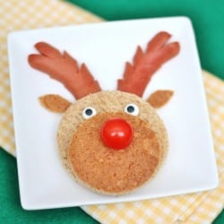 Sandwich Reindeer