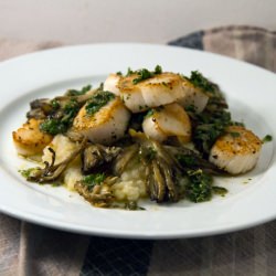 Scallops, Mushrooms and Celeriac