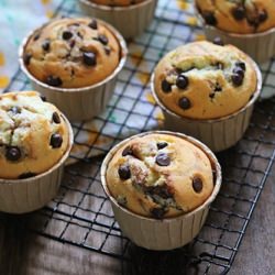 Nutella Cupcake with Chocolate Chip