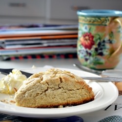 Light and Airy Oat Scones