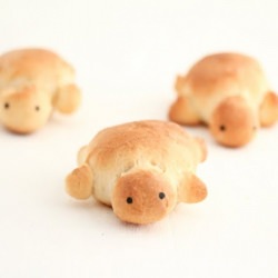 Turtle Breads