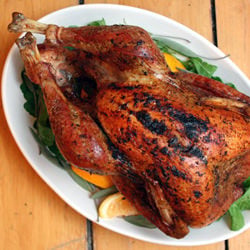 Dry-Brined Roasted Turkey