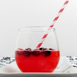 Holiday Cranberry Cocktail