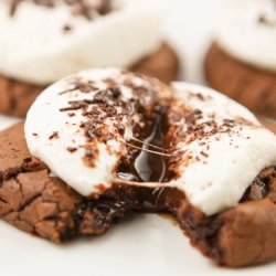 Hot Cocoa Cookies