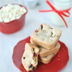 Chocolate & Cranberry Blondie
