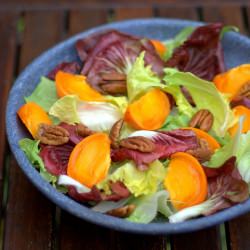 Endive and Radicchio Salad