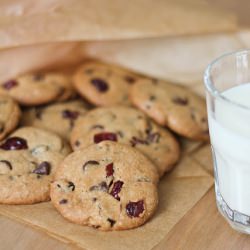 Chocolate Cranberry Cookies