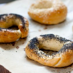 Poppy Seed Bagels