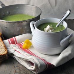 Broccoli Soup with Lemon, Ricotta