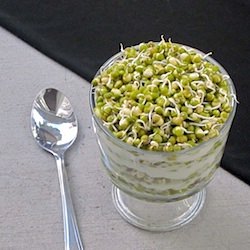 Sprouted Mung Beans