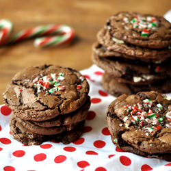 Chocolate Candy Cane Cookies