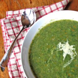 Nettle Soup: Foraging for Food