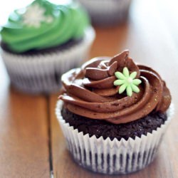 Chocolate Cupcakes