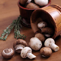 Mushroom Soup
