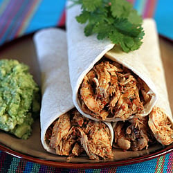 Fiesta Salsa Shredded Chicken