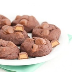 Reese’s Chocolate Cookies