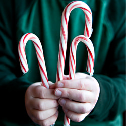 Peppermint Chocolate Cookies