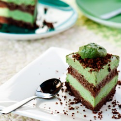 Mint Chocolate Avocado Cake