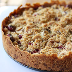 Apple Cranberry Crumb Tart