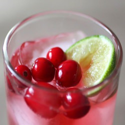 Sparkling Cranberry & Gin Cocktail
