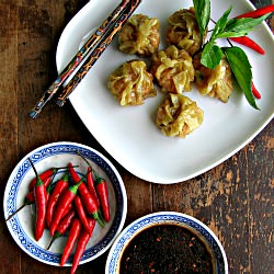 Red Curry Shrimp Dumplings