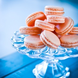Grapefruit Macarons