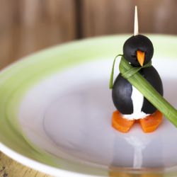 Black Olive Penguins
