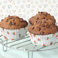 Chocolate Chip Muffins