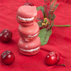 Macaron Time