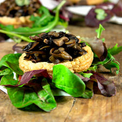 Mushrooms Forever