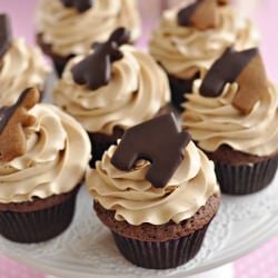 Chocolate Gingerbread Cupcakes