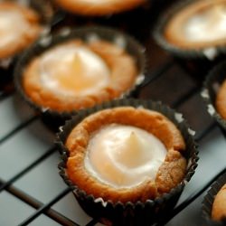 Cheesecake Gingerbread Bites