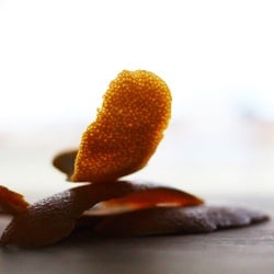 Spicy Chai Concentrate