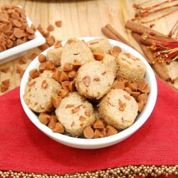 Crispy Cinnamon Coins