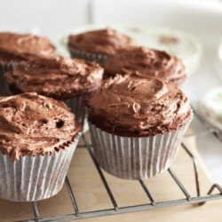 Chocolate Cupcakes